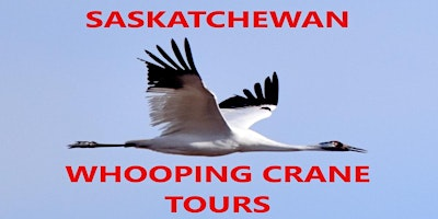 Whooping Crane Viewing Public Tour | Flying J Travel Center