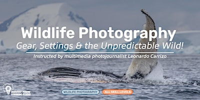Wildlife Photography: Gear, Settings & the Unpredictable Wild | Midwest Photo Learning Studio