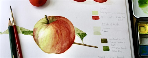 Autumn Botanical Art in Watercolour | William Street