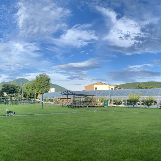 green grass + blue skies + white clouds 