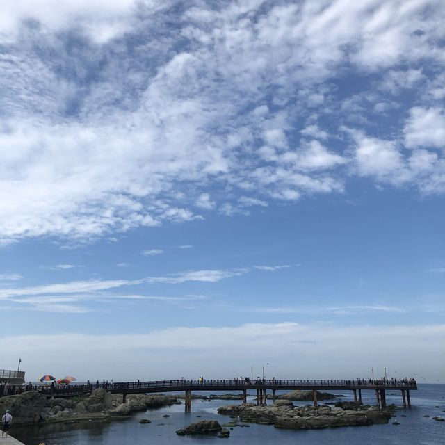 [포항] 바다로 훌쩍 떠나고싶을 때, 호미곶🖐🏻