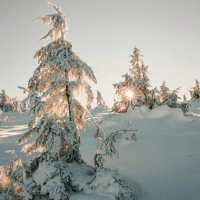 Winter wonderland in Romania