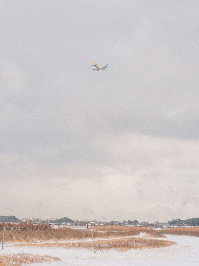 인천공항 근처 비행기 A열 직관 가능한 인천 하늘정원