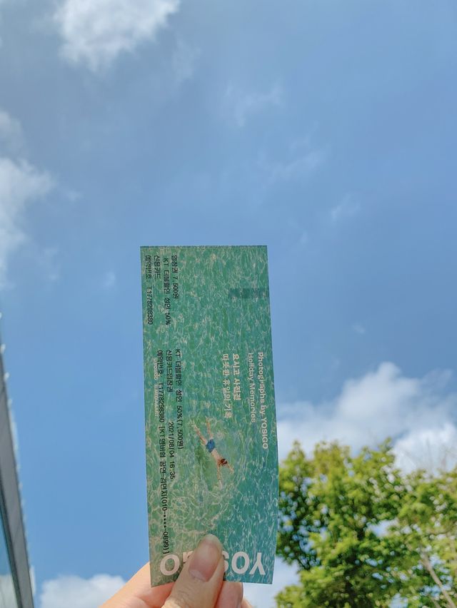 [서울] 다들 “요시고 사진전” 막차 탑승하세요📣