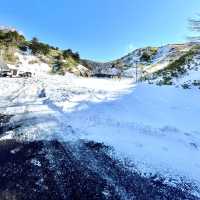 雪の嬬恋村
