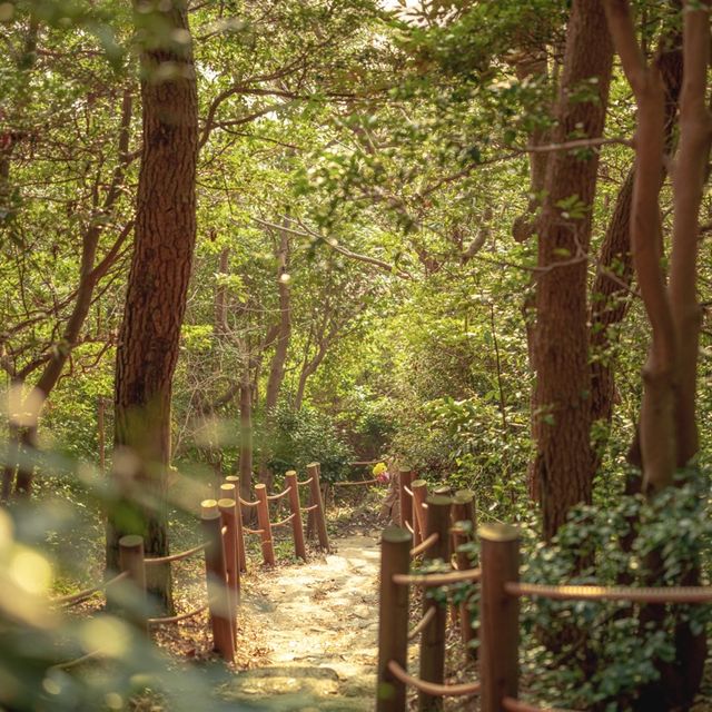 거제에서 찾은 노란색 풍경💛