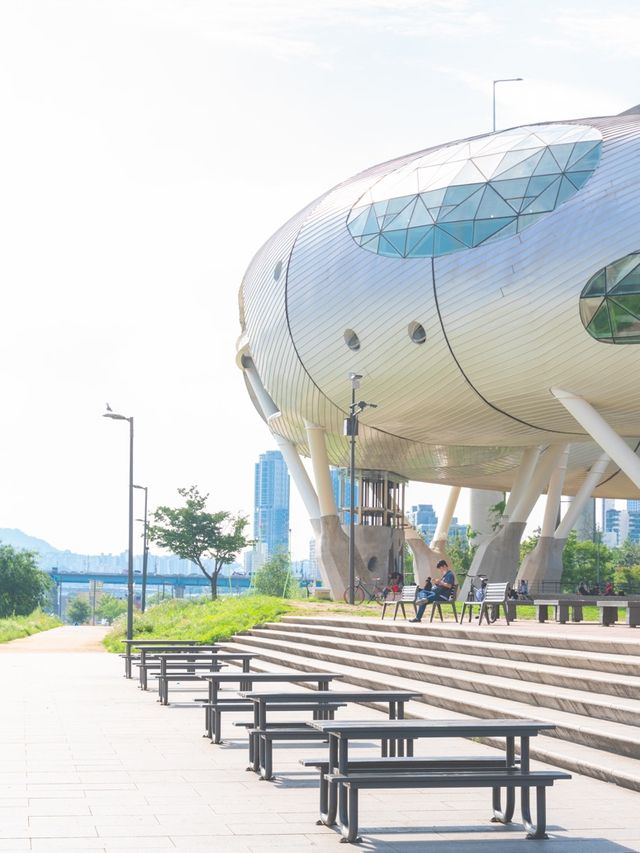 이번 주말은 '뚝섬한강공원'