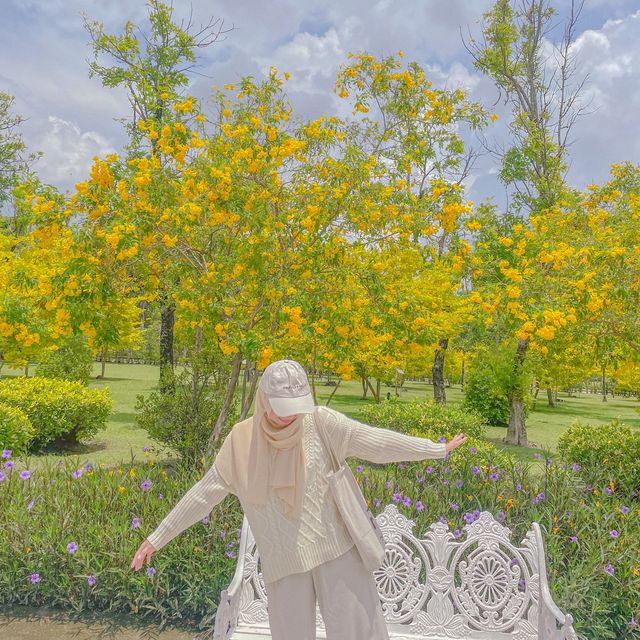 เกาหลีเกาใจที่สวนเบญจกิติ