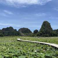 All the shades of green in Hang Múa