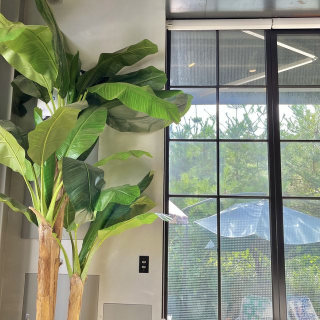 과천에 이런 카페가 있다고!?🌿