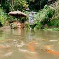 Traditional Hmong Village with Waterfalls