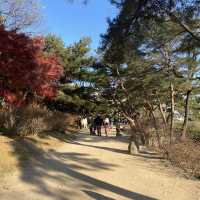 Spectacular view of Secret Garden in Autumn