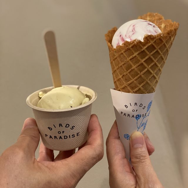 artisanal gelato at 🇸🇬 airport 