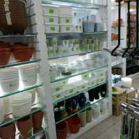 Plant Lovers Favourite Corner 