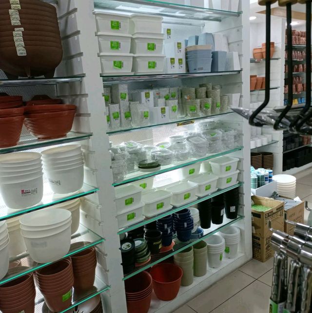 Plant Lovers Favourite Corner 