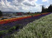 Nakafurano Flower Park