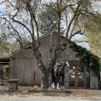 Hahndorf