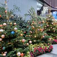 Christmas @ Flower Dome