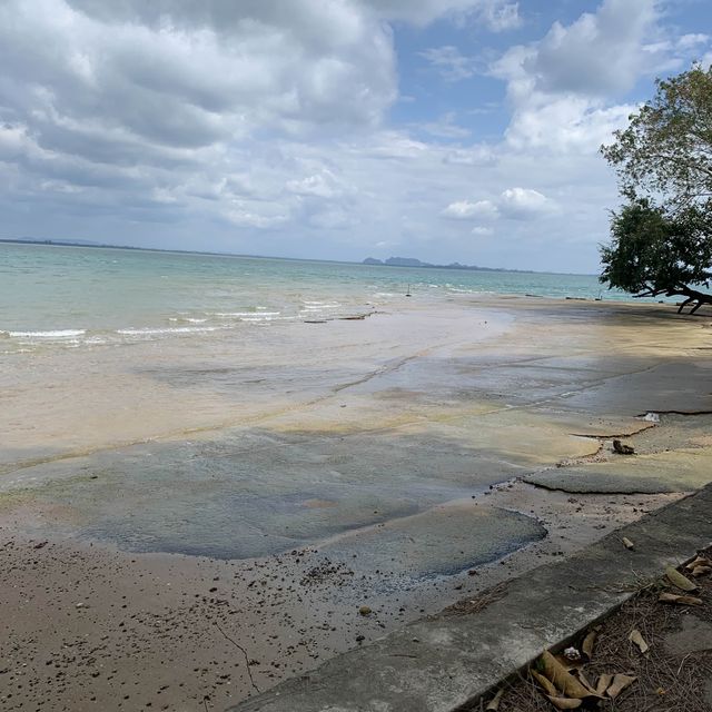 Stroll along a beach made of fossils