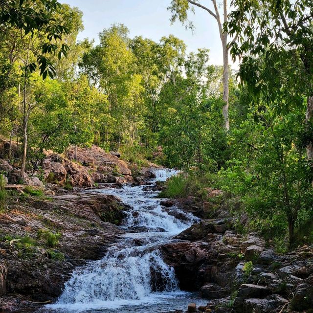 Explore Litchfield National Park with us!