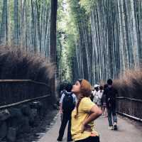 Kyoto’s Well-Known Bamboo Forest