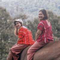 Elefin Farm & Cafe เอเลฟิน ฟาร์ม แอนด์ คาเฟ่