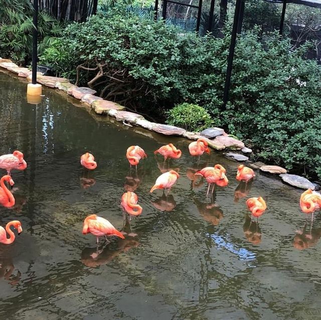 香港動植物公園150周年