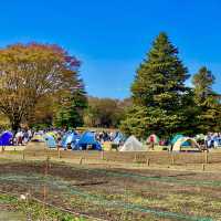 国営昭和記念公園のみんなのはらっぱ