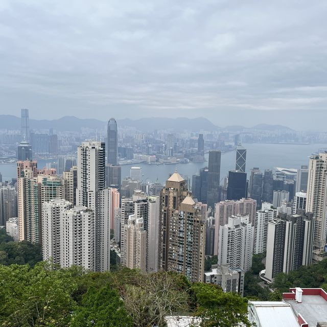 香港大學👉🏻龍虎山👉🏻太平山頂