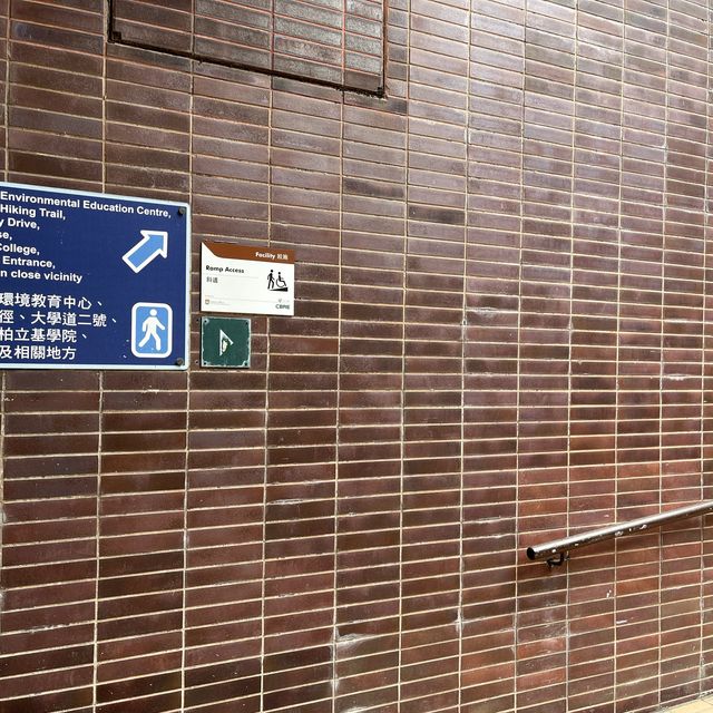 香港大學👉🏻龍虎山👉🏻太平山頂