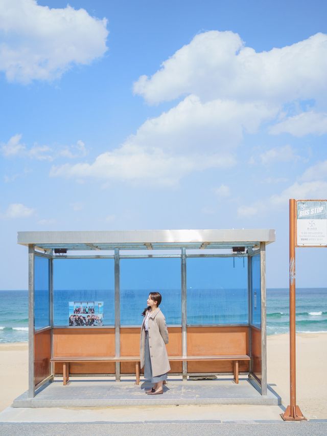강릉 청량청량한 오션뷰 BTS버스정류장 🚏