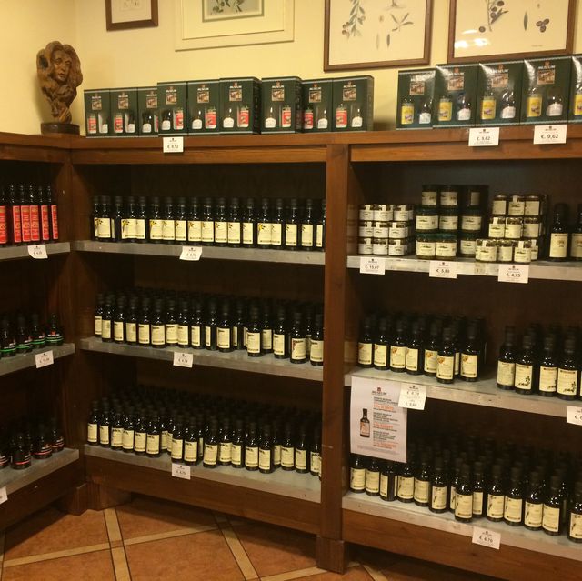 意大利Cisano 🫒橄欖油博物館
