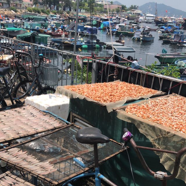 長洲知你識食乜丫