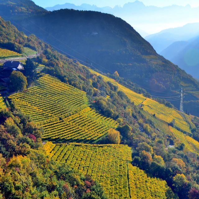 意大利 BOLZANO 🚠坐纜車看秋色