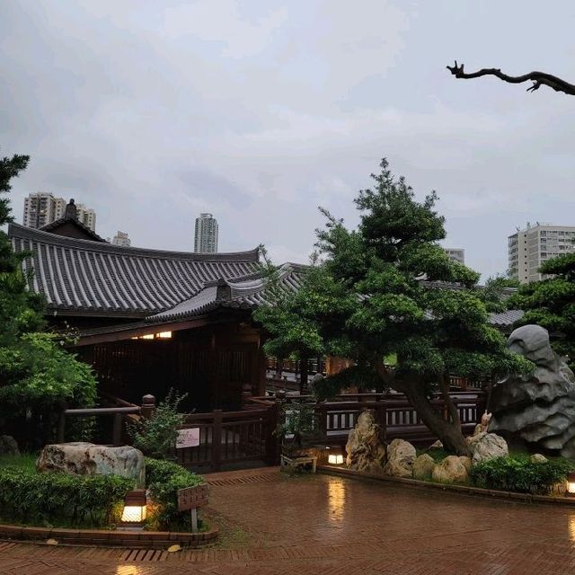 城市淨土🏞🏞