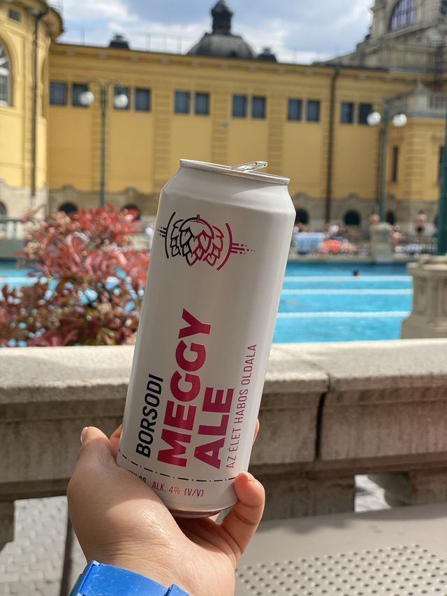 요시고 사진전의 그 곳, 세체니 온천🖼