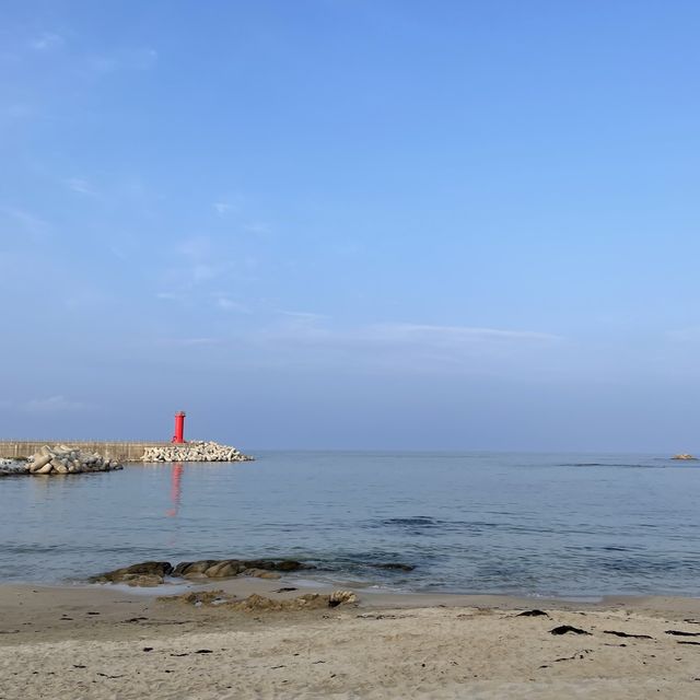 강릉에서 아빠랑 바다낚시하기 🌊🐟