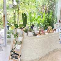 COMFEE คาเฟ่ในสวนร่มรื่น อ่าวลึกกระบี่