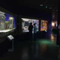 Seville aquarium 
