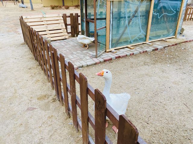 [속초][고성]시크릿블루베이커리카페- 사이코지만 괜찮아📸