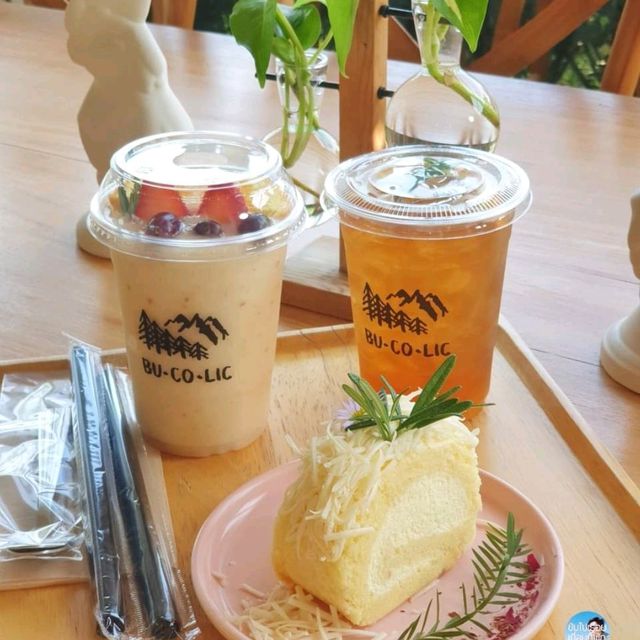 ____🌳____Bu-co-lic (บุคลิก)____🌳____ 