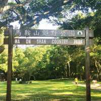 清靜地休息 - 馬鞍山郊野公園
