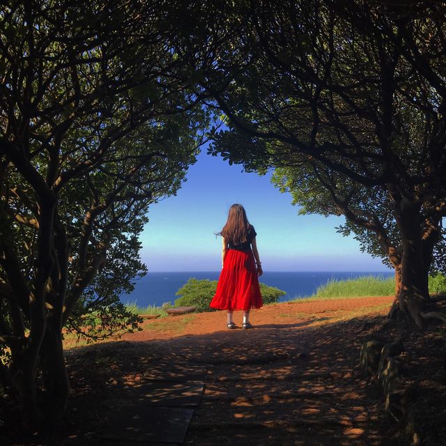 달달함의 시각화 키세스 존, 도두봉🌳