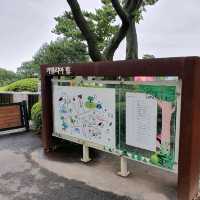 제주 여행 필수 코스 - 카멜리아힐