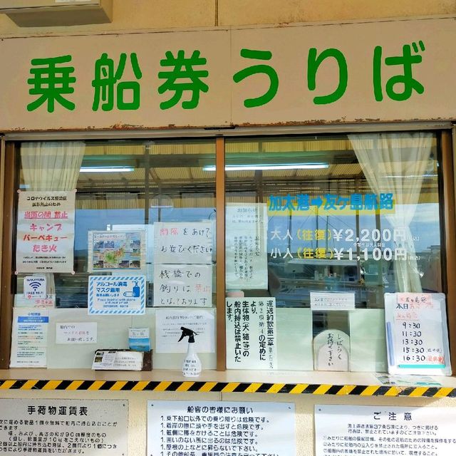 【和歌山】加太港旅客船ターミナル「友ヶ島汽船」✨