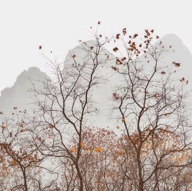 colors of Autumn in Yangshuo