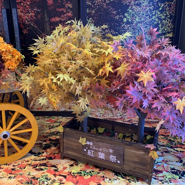 港版嵐山影楓葉
