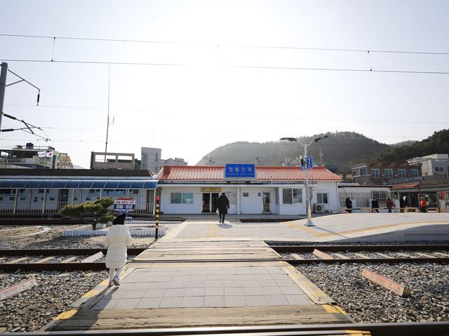 강릉 정동진해변 바다와 가장 가까운 정동진역
