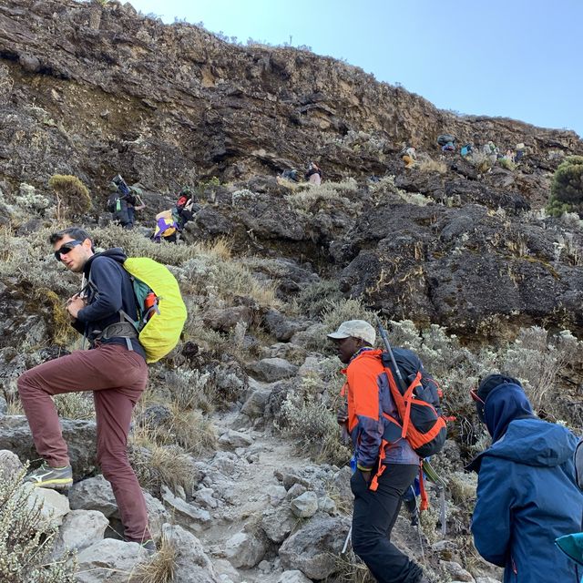 Cool Hiking at Kilimanjaro