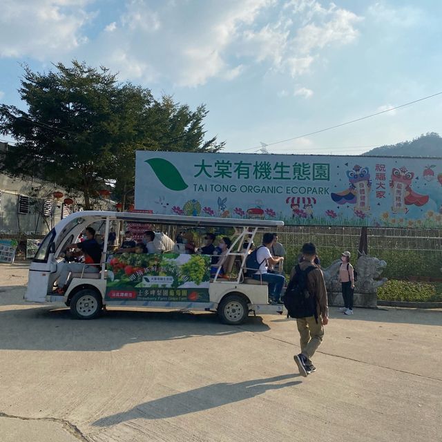 《穿越漢楓》漢服體驗